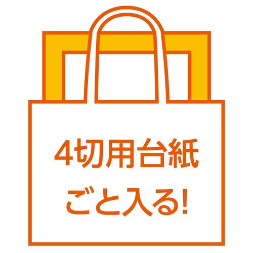 カラー不織布バッグ 大(63×46cm)