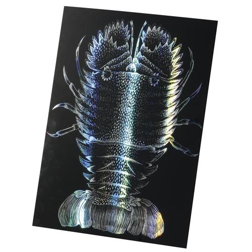 ホログラムスクラッチボード2150×200mm