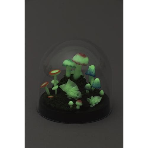 光るきのこテラリウムキット
