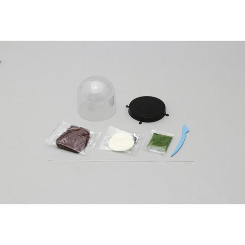 光るきのこテラリウムキット