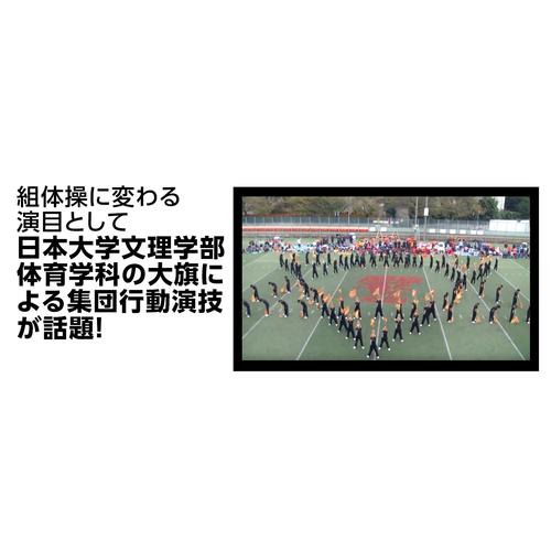 サテン大旗 メタリックレッド