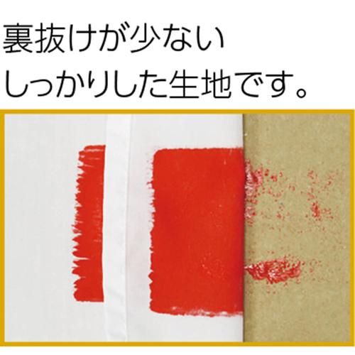 ターナー学級旗 大 旗:W230×H160cm