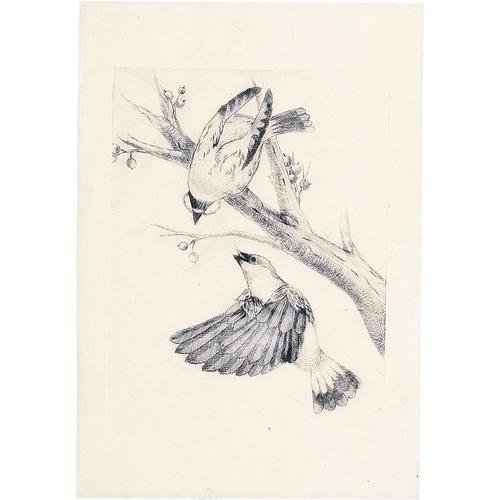 マットPP板小(240x180x0.5mm)