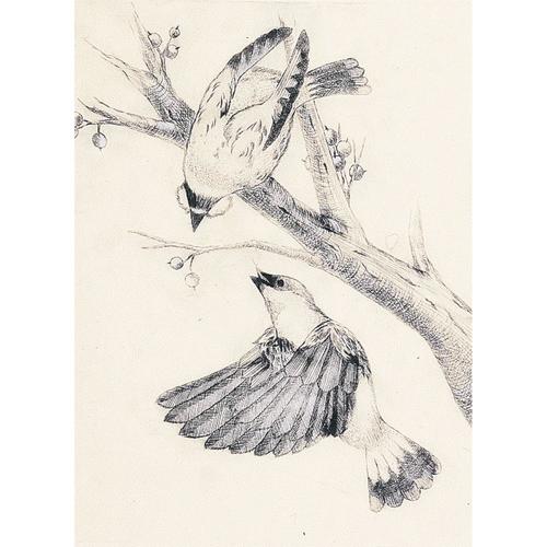 PP板中(360x240x0.5mm)