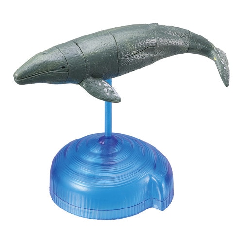 パズルDEフィギュアマリン什器セット24個入り