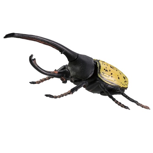 パズルDEフィギュアインセクト什器セット20個入り