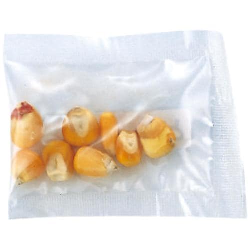 野菜の種とうもろこし