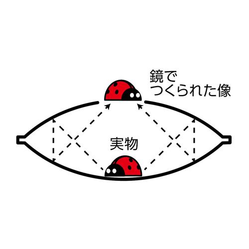 ミニ3Dマジックスコープ(てんとう虫模型付き)