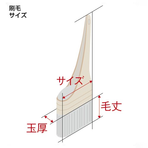 pSEp˂