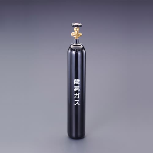 酸素ボンベ EA300−43