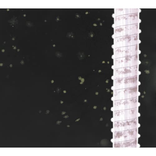 バスポンプ用抗菌ホースEA345G−20