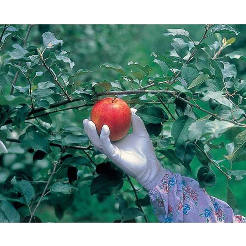 ポリウレタンコーティング手袋EA354GD−51A