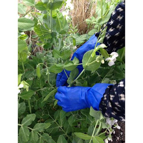 薄手ビニール手袋 EA354GG−23