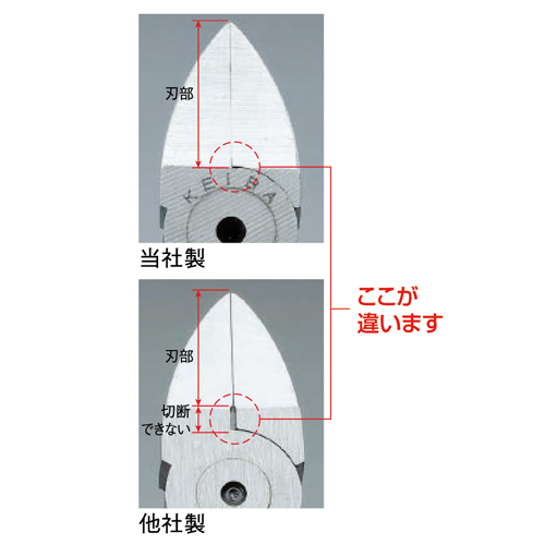 vX`bNpjbp[i΂˕tj