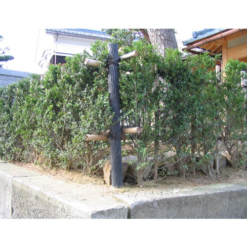 擬木杭(穴付) EA628ZV−12