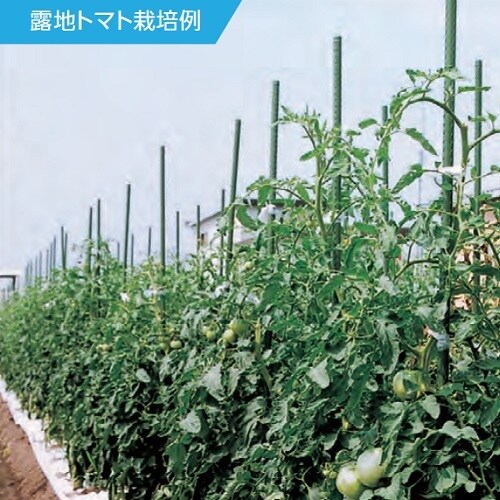 ネット用支柱(イボ付) EA628ZZ−34