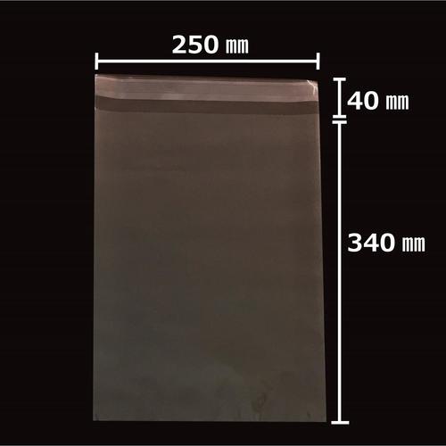 OPP袋テープ付40μ100枚オ−250 ×10