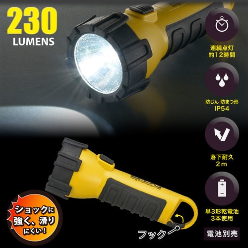 プロテクションライト P21D7