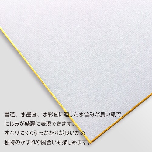 色紙 画仙 2枚入 10セット