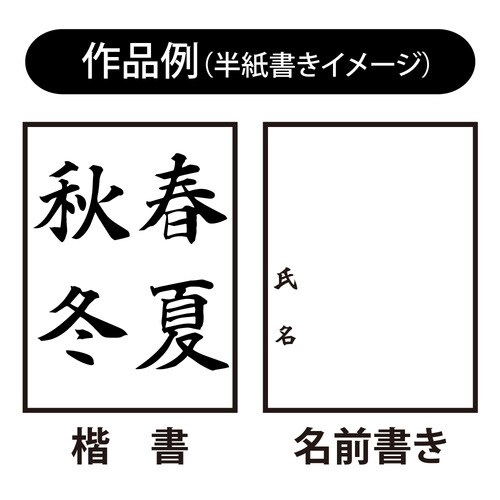 入門用書写筆フィットグリップ二本組C ×2