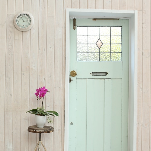 ミディ胡蝶蘭観葉寄せ(4.5号鉢1本 濃ピンク)