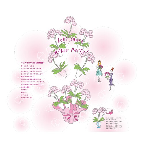 シェアオーキッド(10号鉢10本立ち ホワイト系)