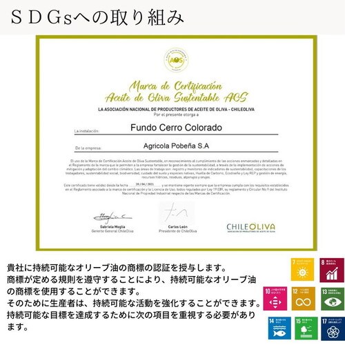 ALONSO オリーブオイル250ml 4本