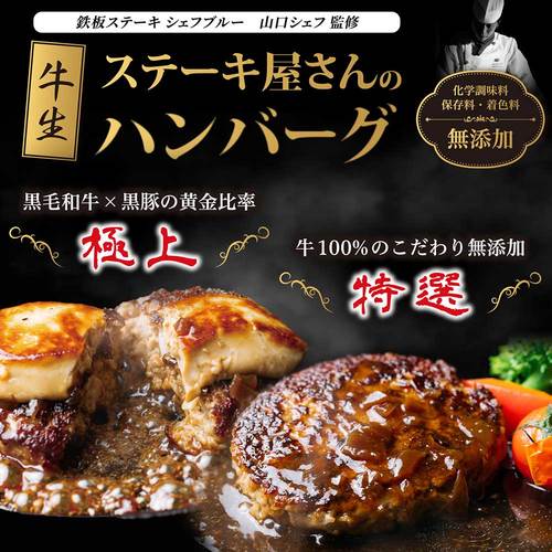 特選牛生ハンバーグ 銀杏−Ityo−