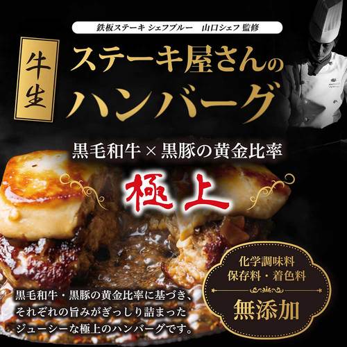 ハンバーグ 瑠璃−Ruri−(ハンバーグ4個)