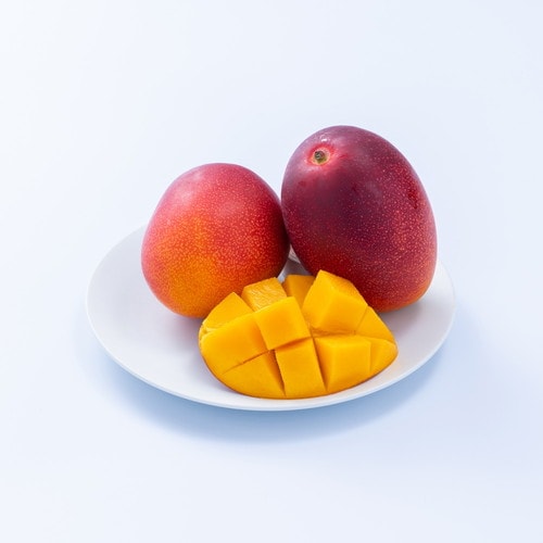 フルーツ専門店「南国フルーツ」がセレクト