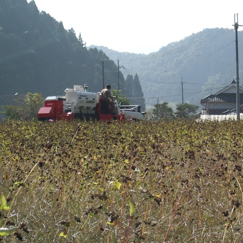 京蕎麦 丹波ノ霧 そば三昧セット