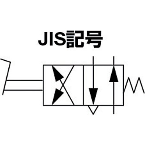 TAIYO フートバルブ 1/2