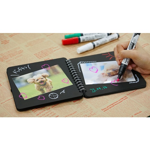 アサヒペン 水性ペイントマーカー カラーレ ゴール