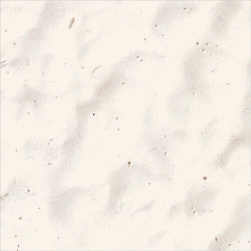 ニッぺ 弾性ブロック・外かべ用S 16kg アイボ