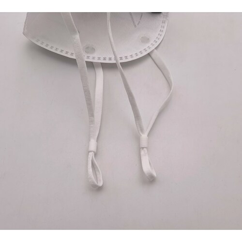 SWS YQD95JP DS2 防じんマスク(20