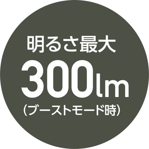 MUSTTOOL MFL−301R 充電式フラッシ