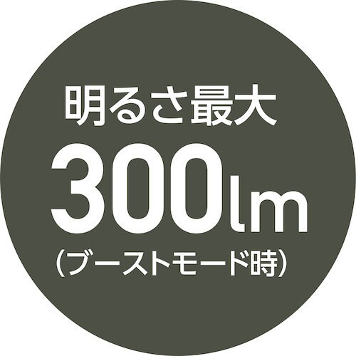 MUSTTOOL MFL−301R 充電式フラッシ