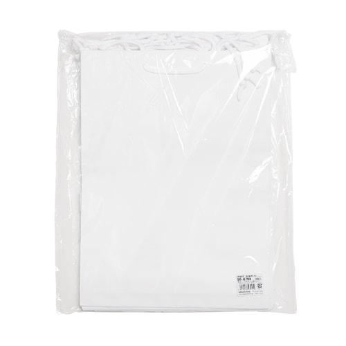 手提げ袋 額縁用 290×45×395 10P