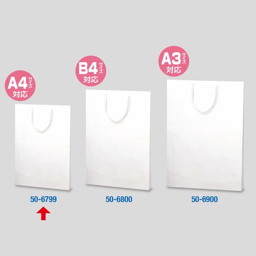 手提げ袋 額縁用 290×45×395 10P