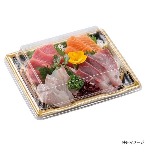 刺身容器 長角皿19−17 本体 つつみ金 ×16