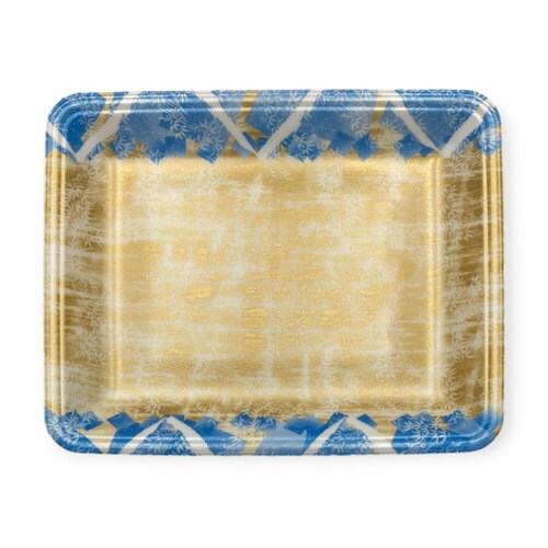 発泡トレー CN20−25FF四織B内 9セット