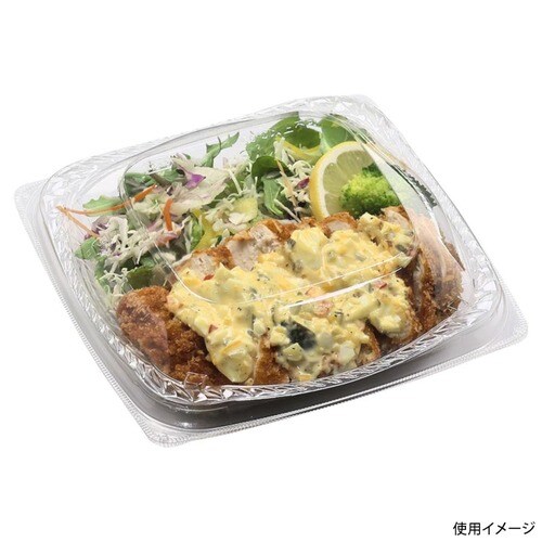 APピアット 20−20(30) 本体 エコ×12