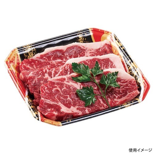 メガプレート20−20(30)平流華赤×10