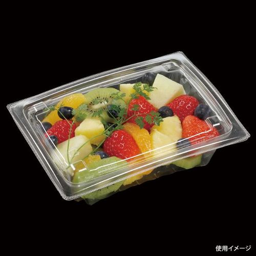 APアーチ19−15(50) 本体 エコ ×16