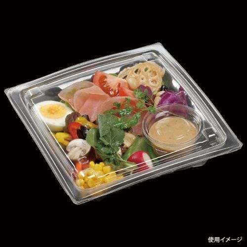 APアーチ19−19(40) 本体 エコ ×12