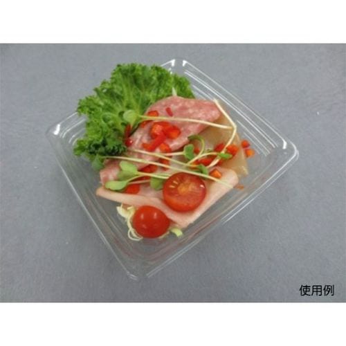 C−APドルチェ 120−45 身 24セット