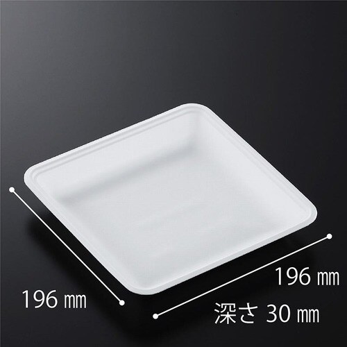 発泡トレー CN20−20FF (L) 12セット