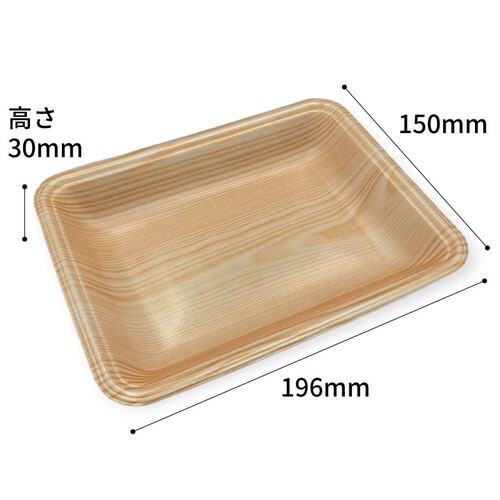 トレーCN20−15F 木曽内(L) 18セット