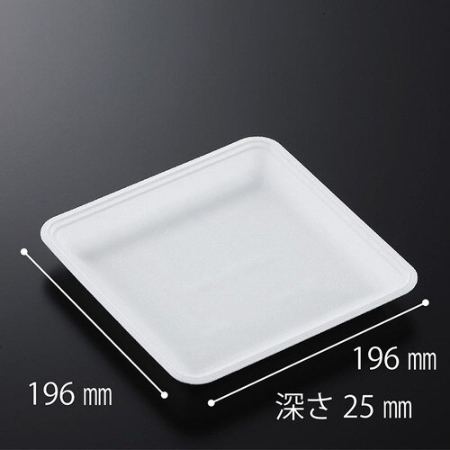 発泡トレー CN20−20EE(L) 12セット