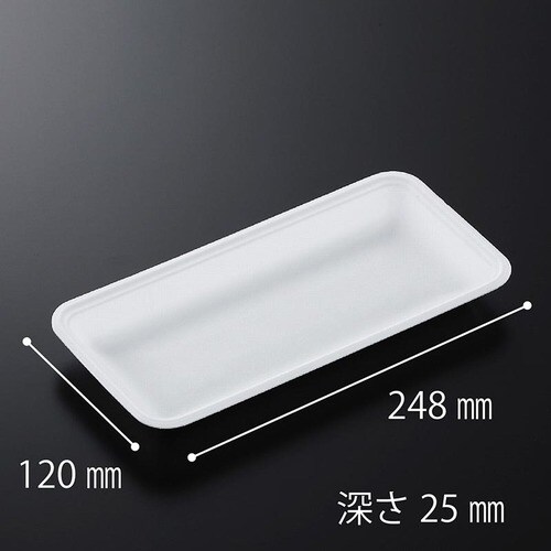 トレーCN25−12E (L) 18セット